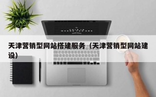 嘉峪关天津营销型网站搭建服务（天津营销型网站建设）